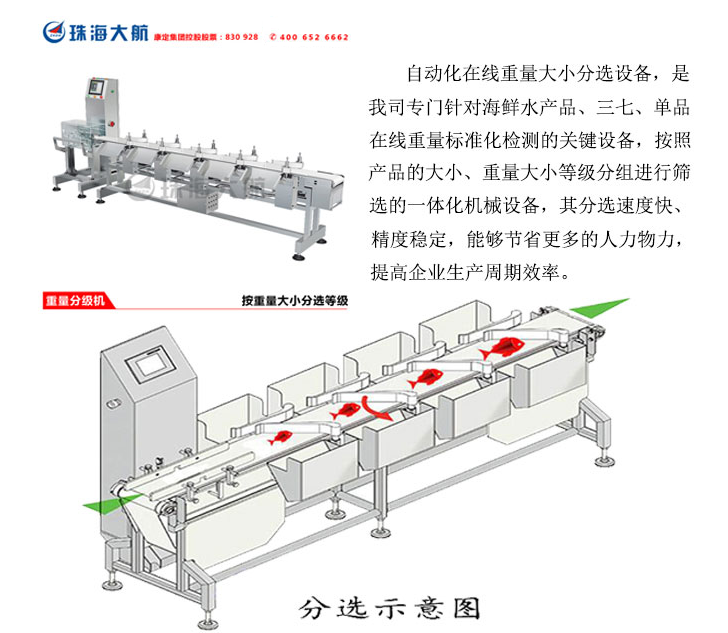 魚(yú)分揀機(jī)示意圖